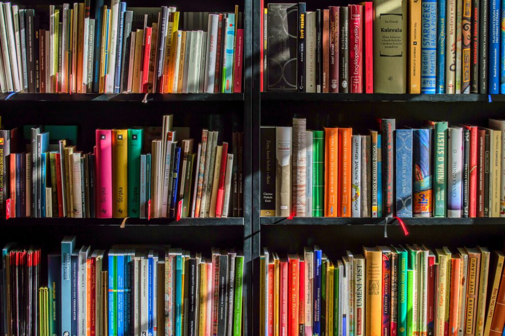 Boekenkast vol met kleurrijke boeken. Literatuurlijst.